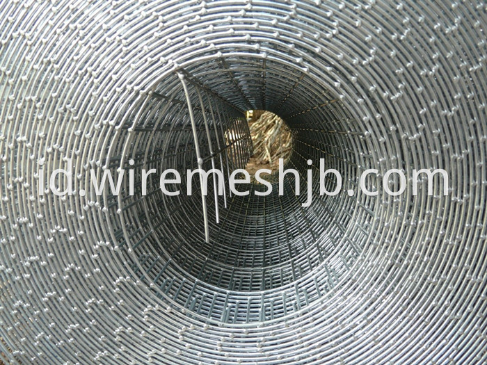 Galvanized Welded Wire